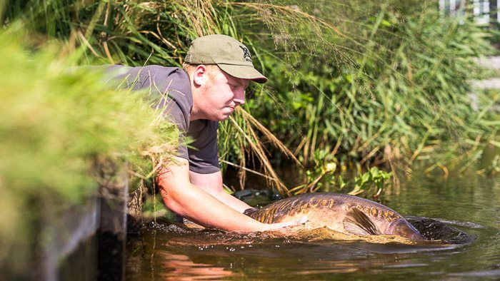 En de topspiegel mag weer terug zwemmen.