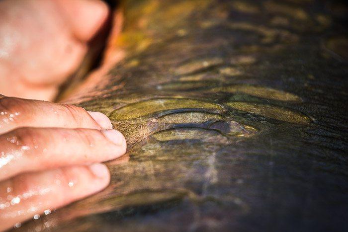 We genoten van alle kleine dingen tijdens de sessie, alhoewel deze vis helemaal niet zo klein was.