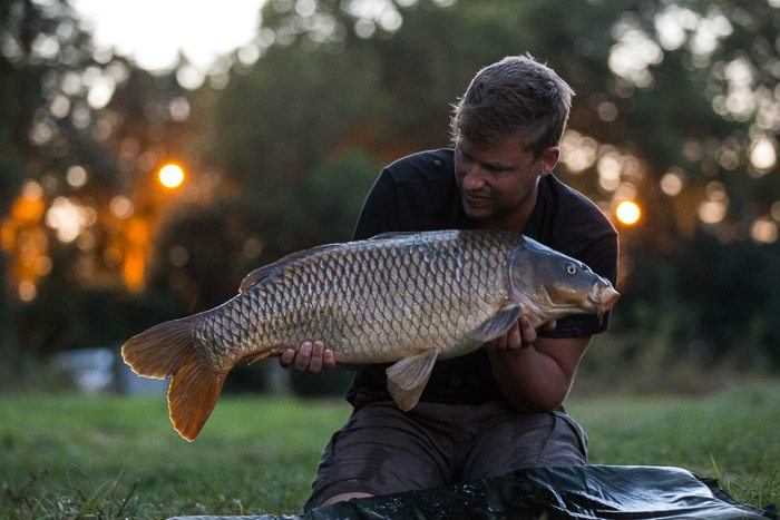 Vooruit dan, nog eentje om het af te leren ;-)