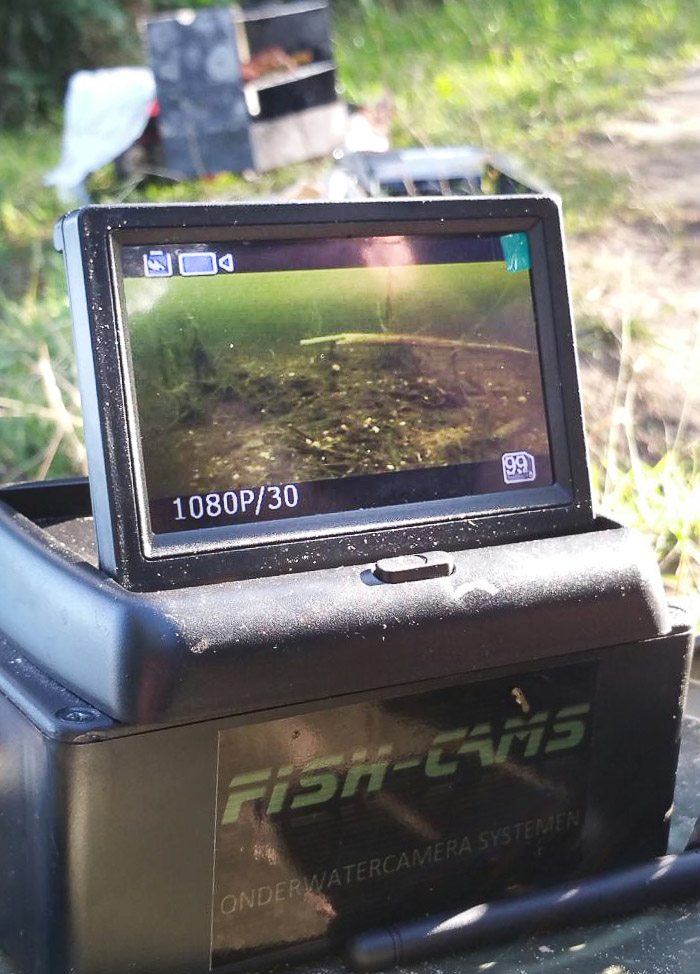 Het nootje lag perfect in beeld maar een aanbeet bleef uit...