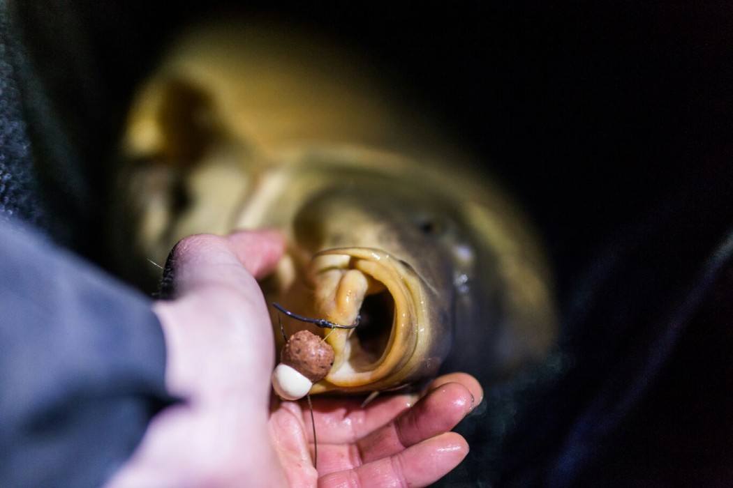 snowman-rig-effectief-1050x700