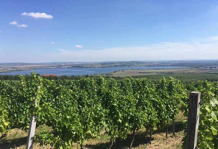 wcc-tsjechie-water