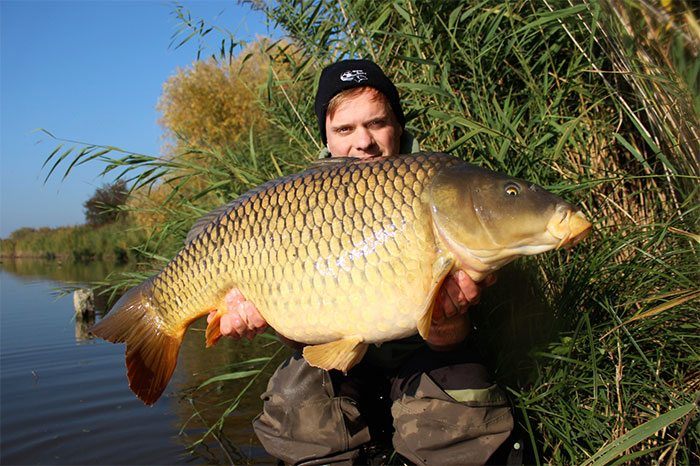 Een heerlijke oktoberkarper van The Secret River. Check de nieuwe video van blogger Bas van den Broek.