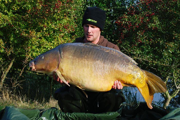 Lees de avonturen van Darrell Peck nu ook op de KWO Community.