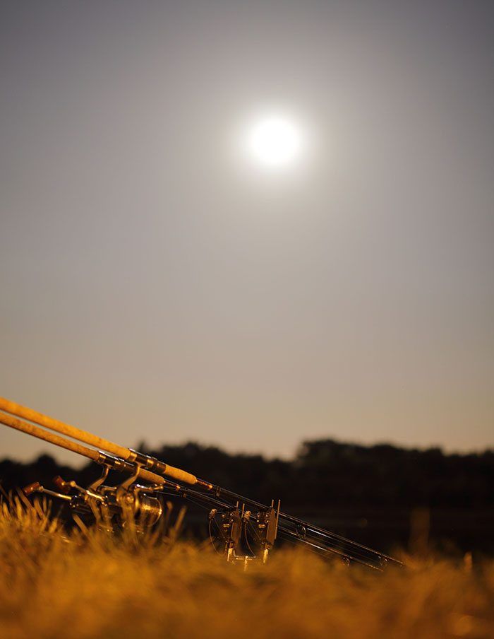 Tot en met woensdag is de maan heftiger dan normaal, ga jij een 'super-maan-karper' vangen?