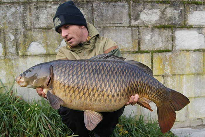 ian-thiels-november-karper