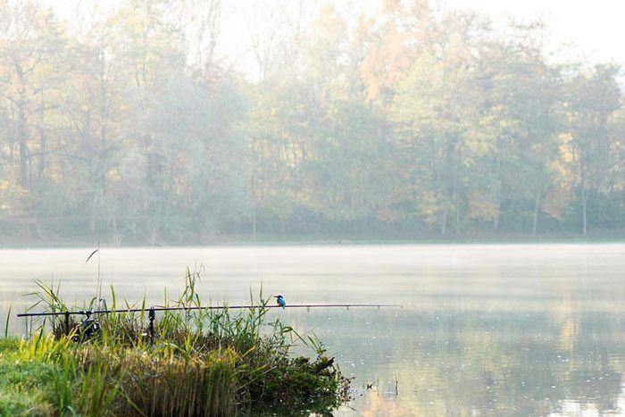 Wat is het najaar toch een mooie tijd om er op uit te gaan om te vissen. Mark Hofman maakte deze plaat vorige week tijdens een Tsjechische-Oostenrijkse roadtrip.