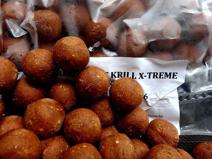 kwo-boulevard-cris-scheffer-najaar-4