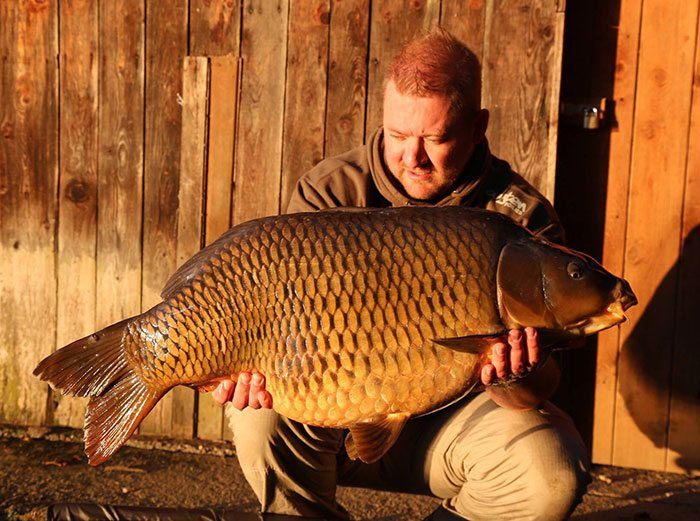 lex-cuyten-slovenie-2