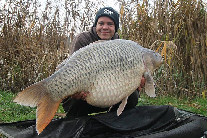 mario-gijbels-dictator-dream-baits