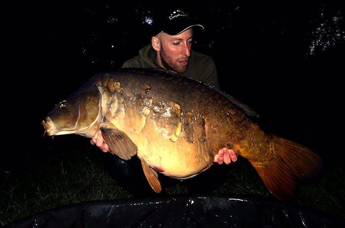 cris-scheffer-najaar-belgie-1