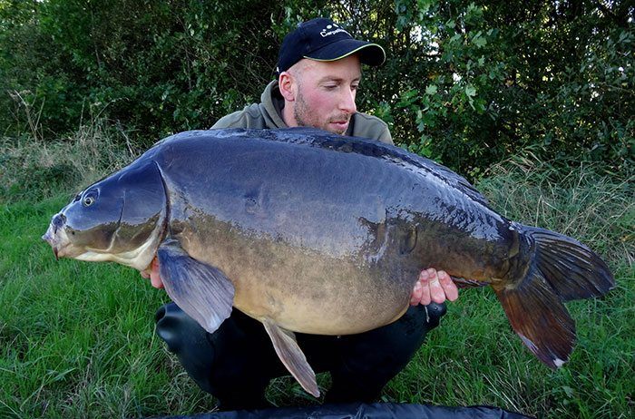 cris-scheffer-najaar-belgie-2