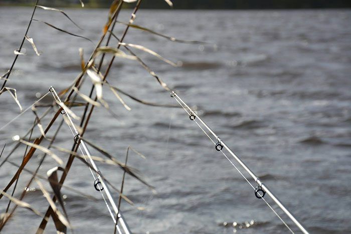 jan-willem-braam-najaar-1