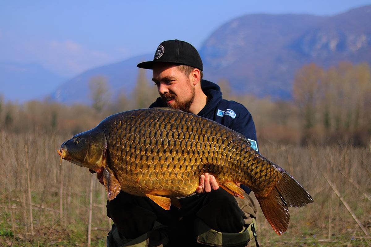 bas-van-der-werff-dreams-header