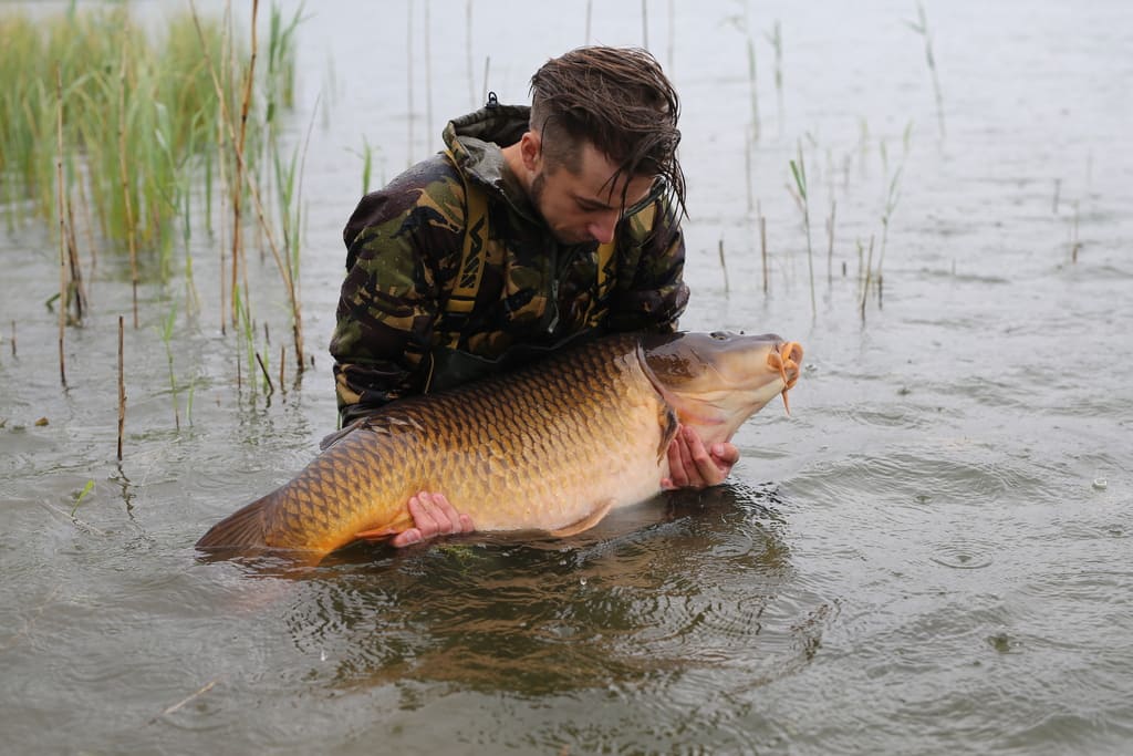 wall of fame originals