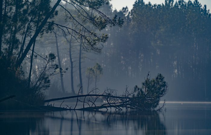 Nieuwsupdate | Goed nieuws vanaf Rainbow Lake – Frankrijk
