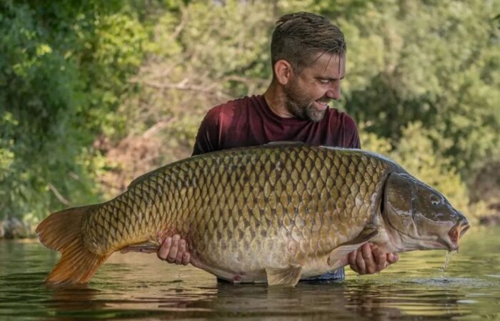 KWO Boulevard – MEGA zomerschub (35 kg) & jong talent ‘on fire’!