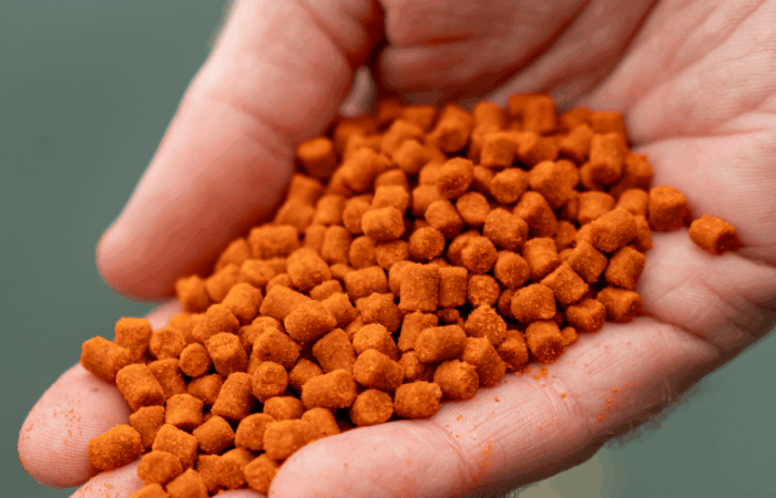 Dit zijn de #4 redenen om dit voorjaar KLEIN AAS te gebruiken!