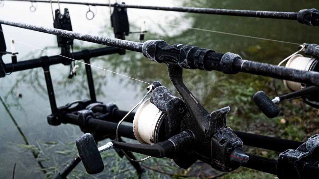 Domaine de Rumilly - Le Planète - The Carp Specialist