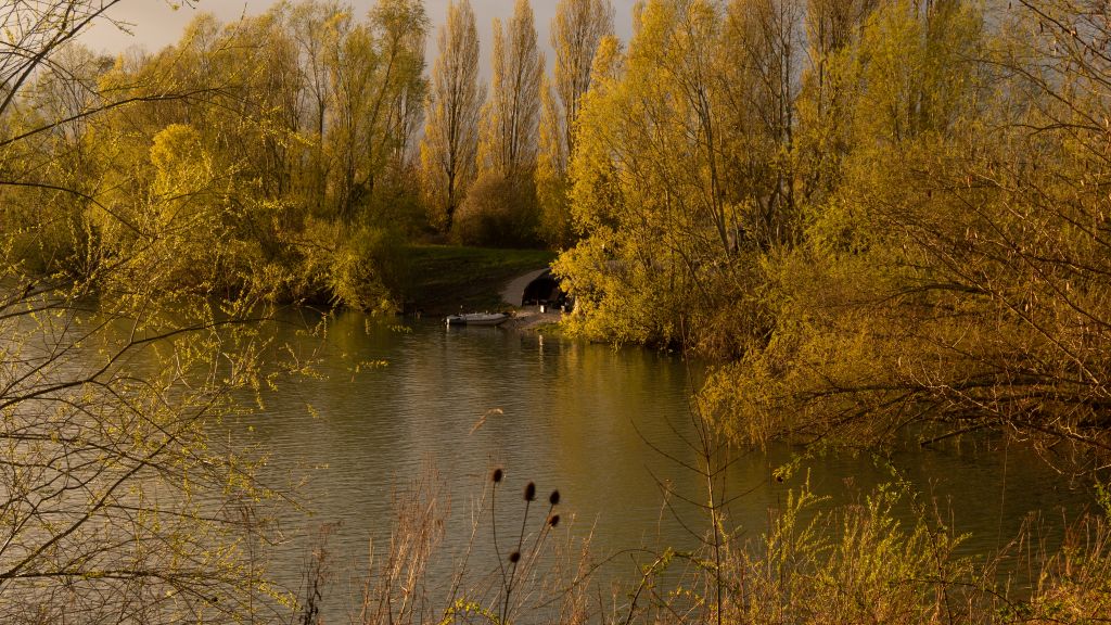 Domaine de Rumilly - Le Planète - The Carp Specialist