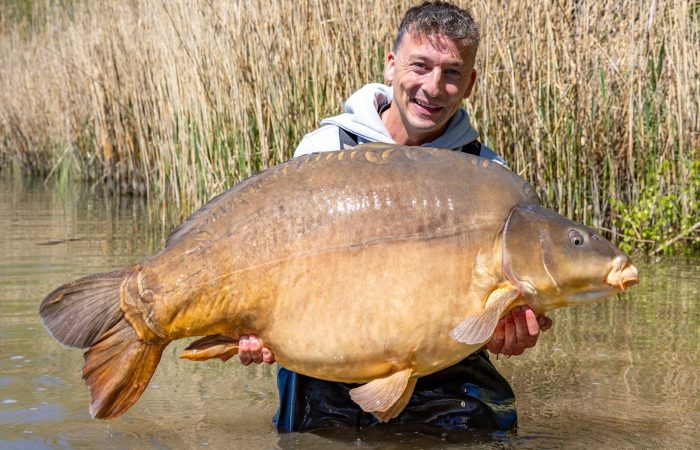 KWO Boulevard – Voorjaarsbakken (37kg), Nederlandse VEERTIGERS & een BOM aan tips!