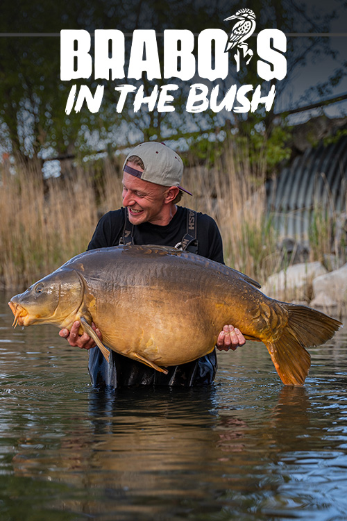 https://cdn02.kwo.nl/2026/08/Brabos-in-the-Bush-video-cover-1.jpg