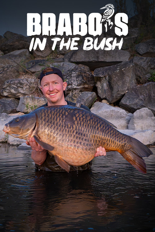 https://cdn02.kwo.nl/2026/08/Brabos-in-the-Bush-video-cover-2.jpg